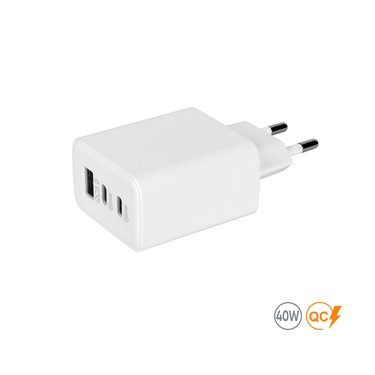Мережевий зарядний пристрій 40W Real, TM TEG : Тотобі