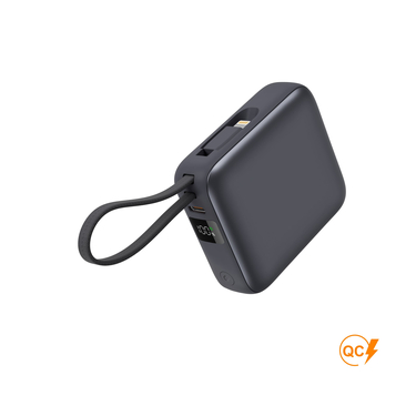 Повербанк Kalve 10000 mAh, ТМ TEG : Тотобі