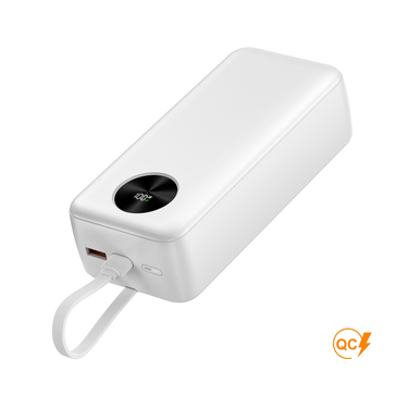 Повербанк BengMax 30000 mAh 22,5W, ТМ TEG : Тотобі